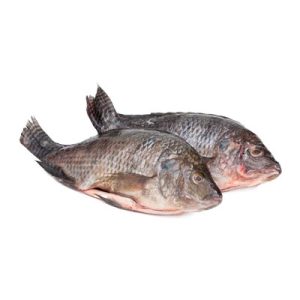 freshfrozen mojarra